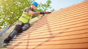 Best 4 Ply Roofing  in International Falls, MN