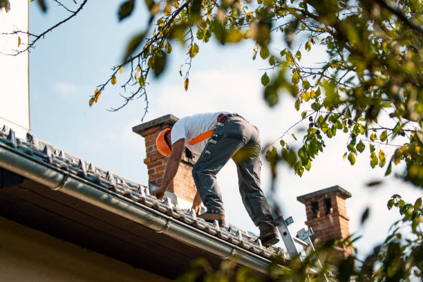 Best Chimney Flashing Repair  in International Falls, MN