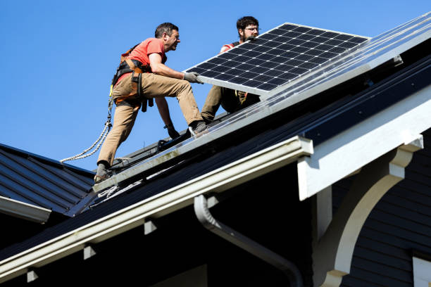 Best Roof Leak Repair  in International Falls, MN