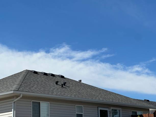 Best Hot Roofs  in International Falls, MN