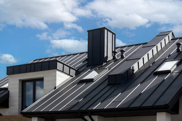 Best Roof Moss and Algae Removal  in International Falls, MN